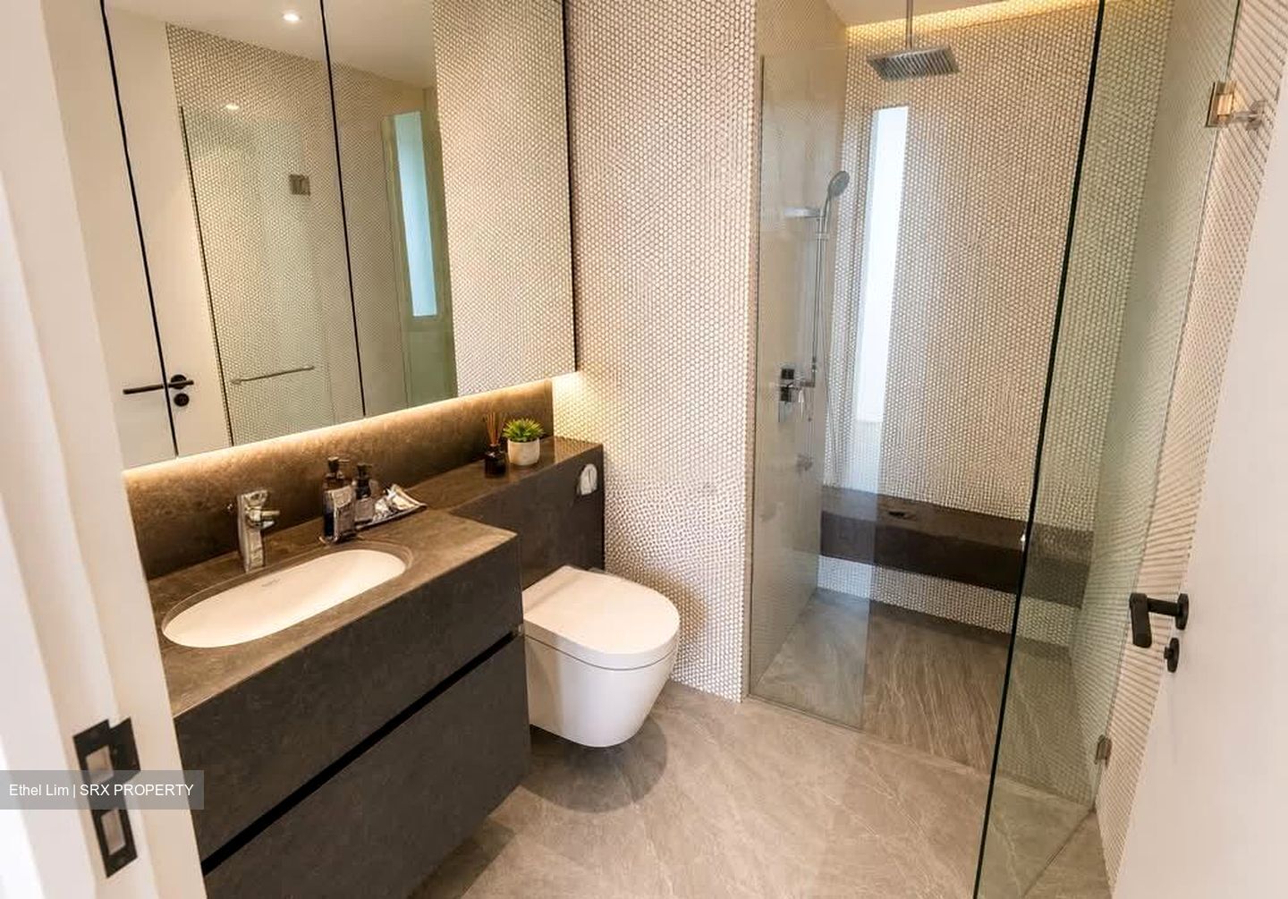10 Evelyn (D11), Apartment #583924051